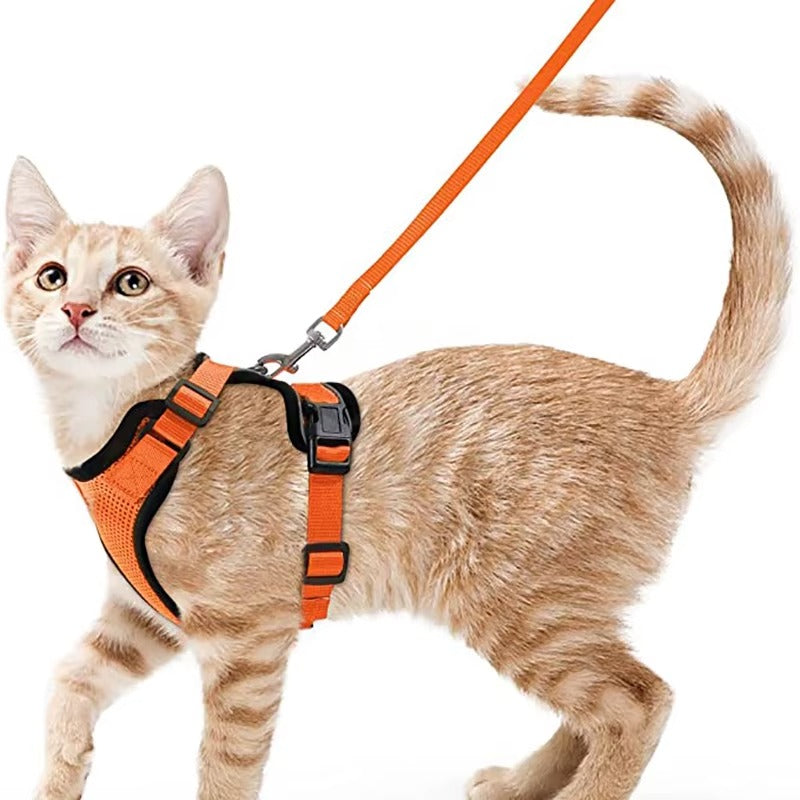 SafeStep Cat Harness
