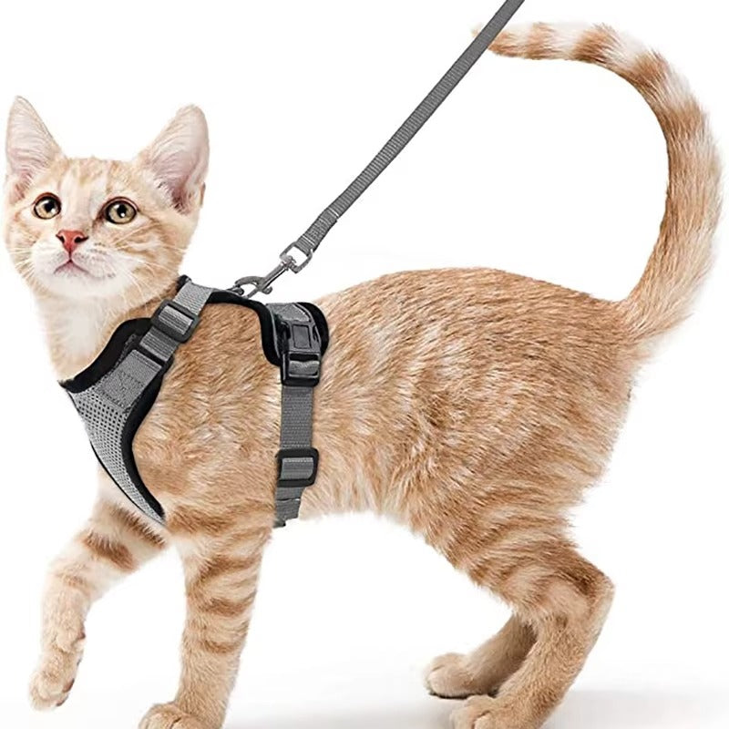 SafeStep Cat Harness