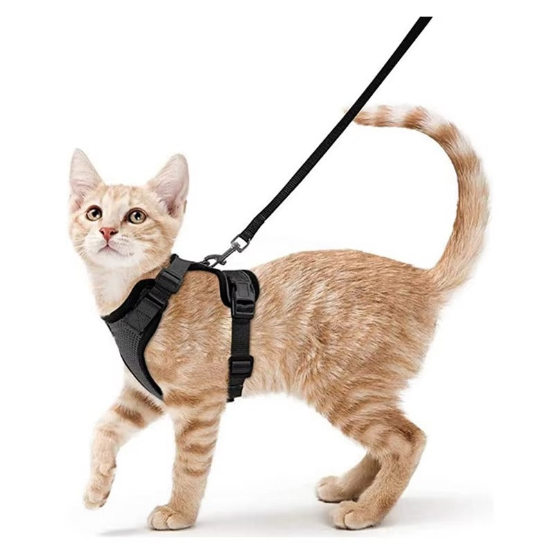 SafeStep Cat Harness